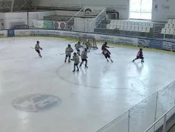 Vasas SC A1 vs SZJA Sárga U14 - VOD