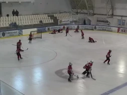 SZJA Sárga vs Dunaújvárosi Acélbikák U12 - VOD