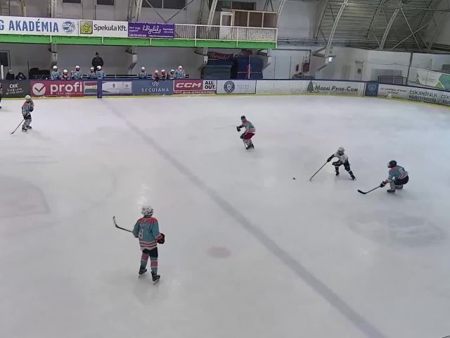 Triumf Bucuresti vs Stejarii Bucuresti - U14 - VOD