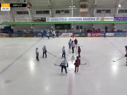 Stejarii București vs Szombathelyi Pingvinek - U14 - VOD